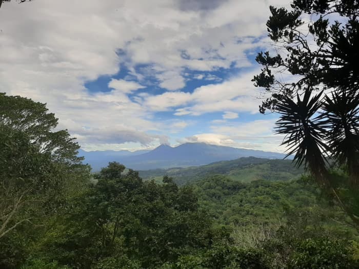 Finca cafetalera en venta de 86 manzanas en Tepecoyo - foto 1
