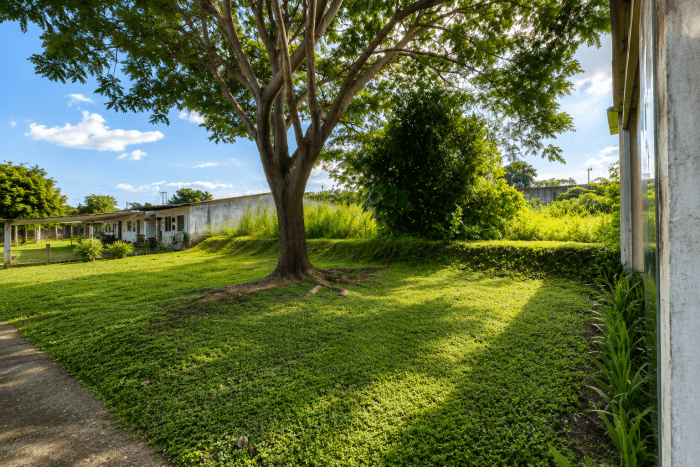 Terreno en venta en Residencial Quintas de San Agustín - foto 1