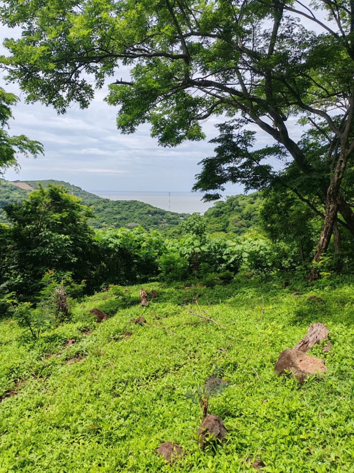 Terreno en venta con vista al mar en playa El Zonte  - foto 1