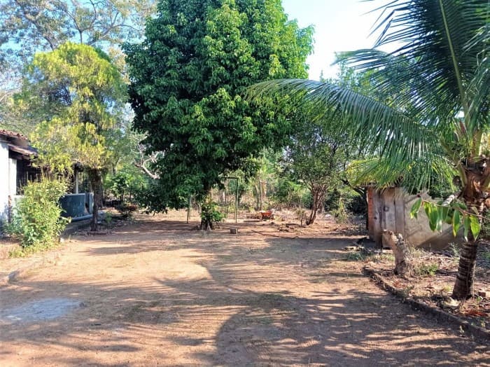 Terreno agrícola en venta en Ciudad Arce La Libertad - foto 1