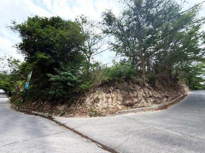 Terreno en venta ideal para desarrollo en Cuyultitán - foto 1