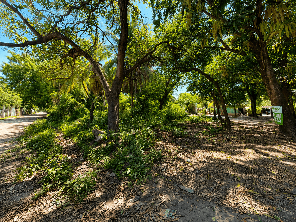 Terreno en venta Cangrejera La Libertad  - foto 1