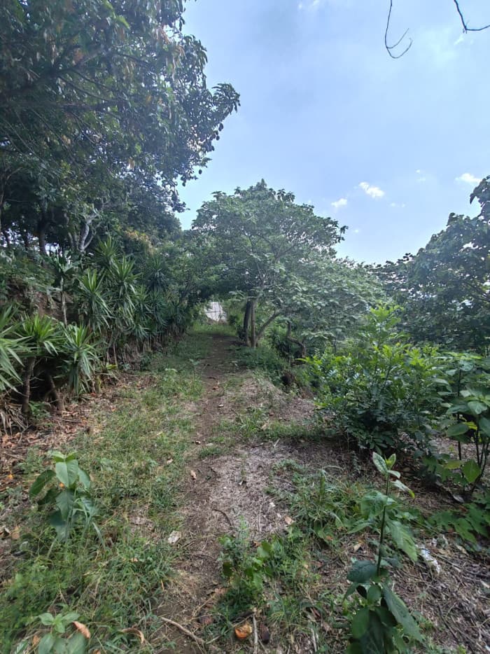 Terreno con vista carretera a Comasagua La Libertad - foto 1