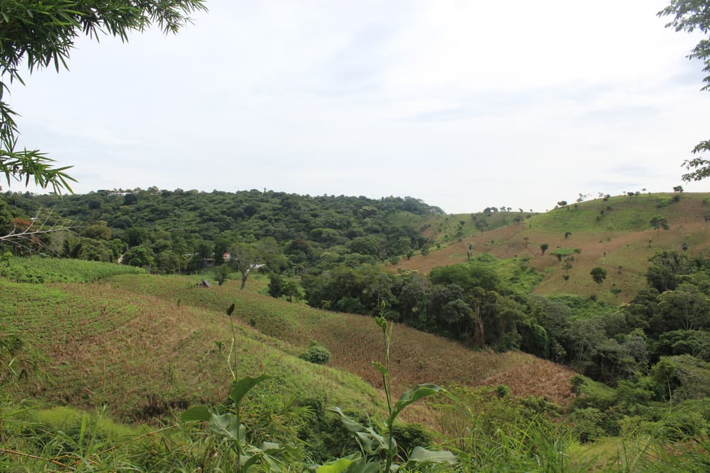 Se vende terreno de 30 manzanas cercano a Tuscania - foto 1