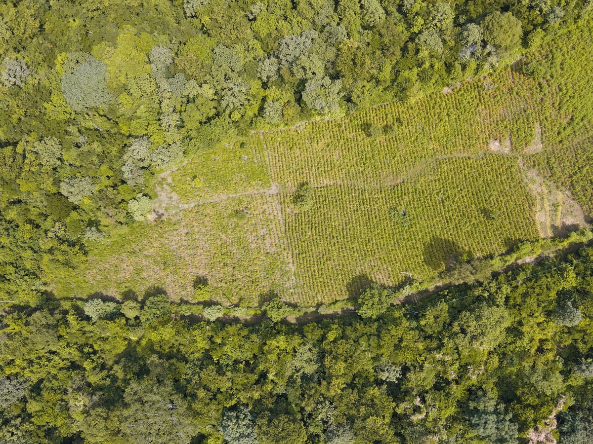 Terreno en venta contiguo a Bosques de Lourdes Colón - foto 1
