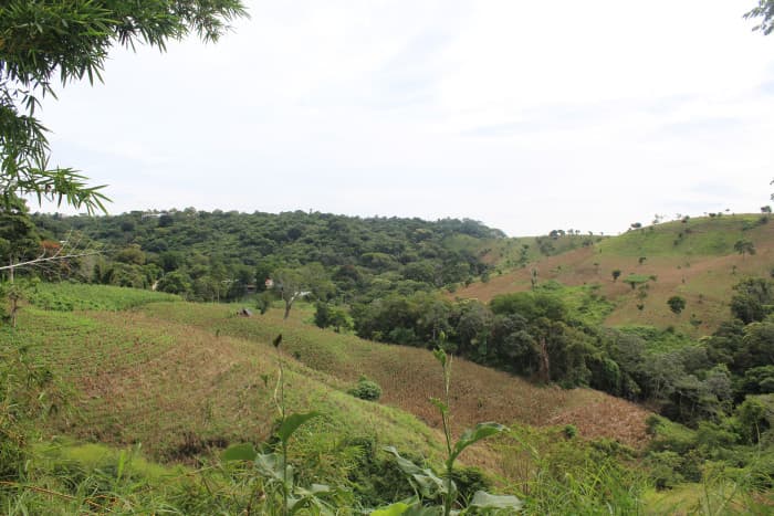 Terreno en venta cerca de Tuscania - foto 1