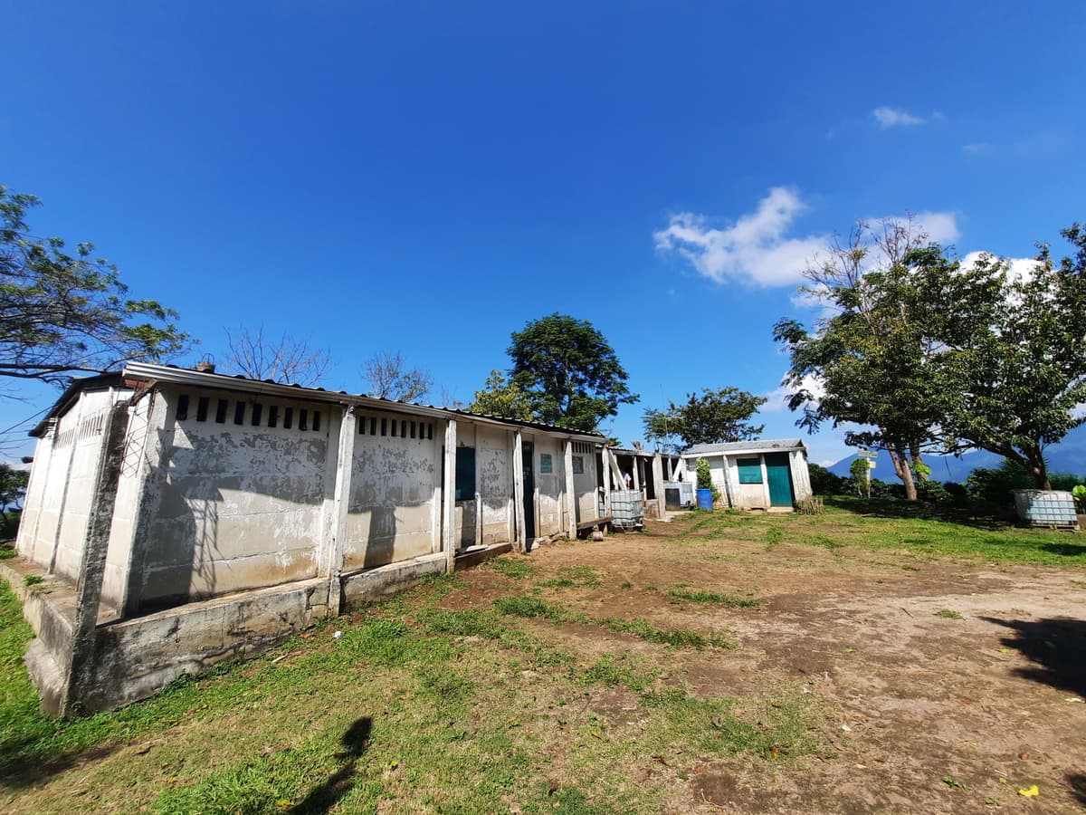 Finca de café en venta de 200 manzanas en Lourdes - foto 1