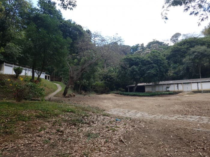 Finca cafetalera en venta sobre carretera Los Chorros - foto 1