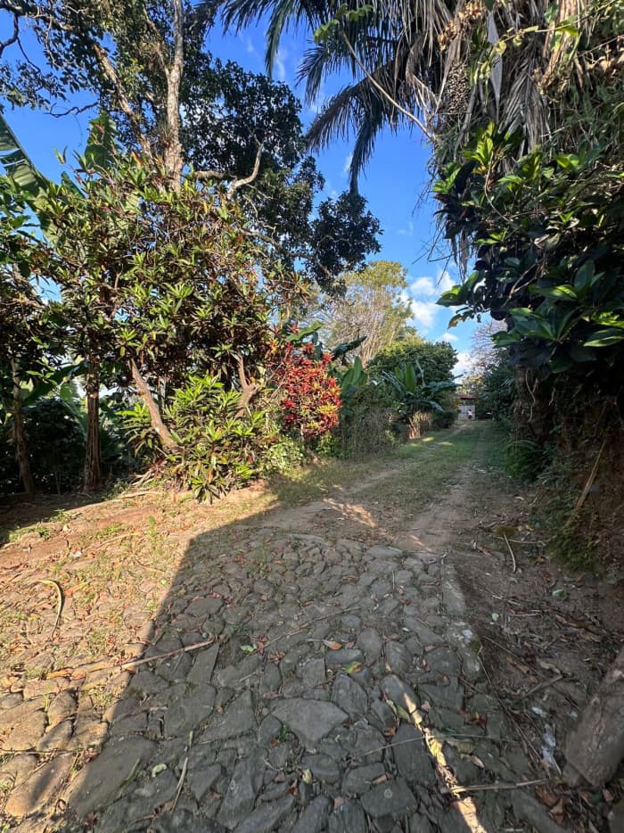 Venta de finca de 2 manzanas en Jayaque La Libertad - foto 1