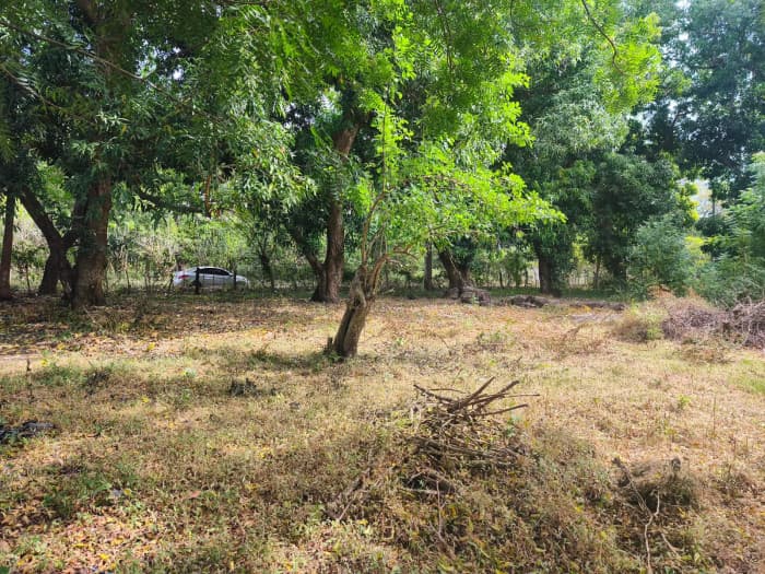 Terreno 7,696 varas cuadradas en San Diego La Libertad - foto 1