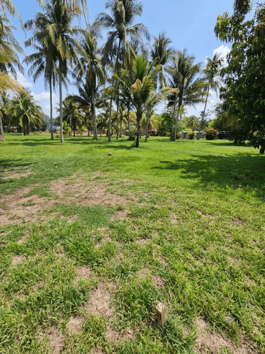 Terreno en venta playa San Diego La Libertad - foto 1