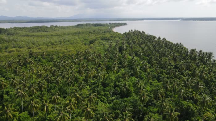 Lotes en venta en Isla Madresal Bahía de Jiquilisco - foto 1