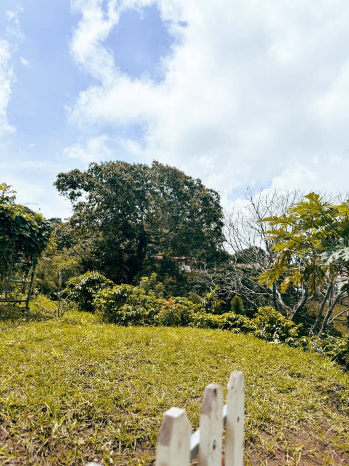 Vendo Terreno residencial en Comasagua - foto 11