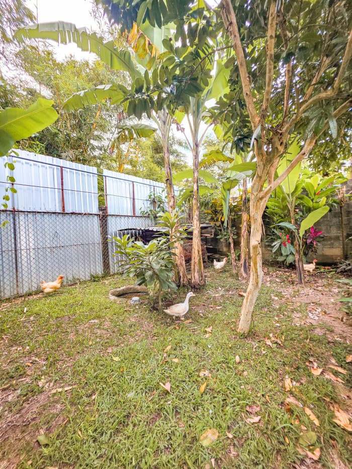 Hermosa casa tipo Quinta en Los Planes de Renderos - foto 26