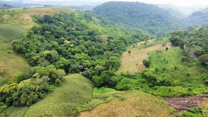 Terreno en venta al lado de Residencial Los Manantiales - foto 10