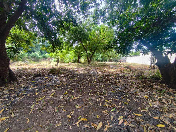 Terreno 7,696 varas cuadradas en San Diego La Libertad - foto 11