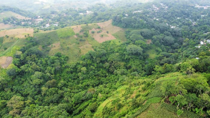 Terreno en venta al lado de Residencial Los Manantiales - foto 12
