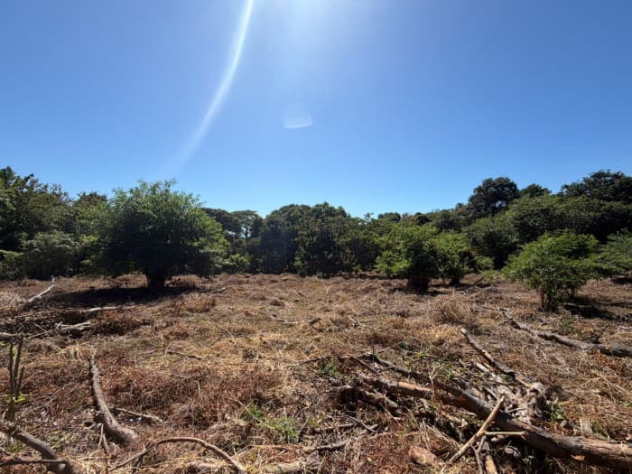 Terreno comercial en venta en Jicalapa La Libertad - foto 6