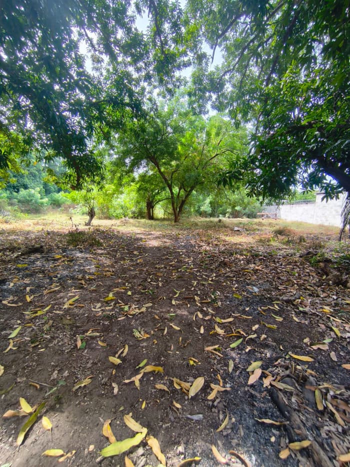 Terreno 7,696 varas cuadradas en San Diego La Libertad - foto 12