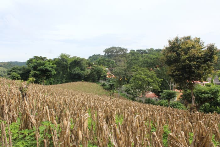 Terreno en venta cerca de Tuscania - foto 18