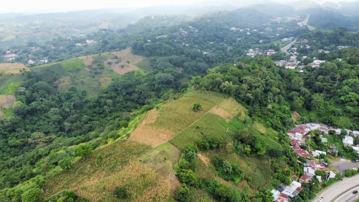 Terreno en venta al lado de Residencial Los Manantiales - foto 9