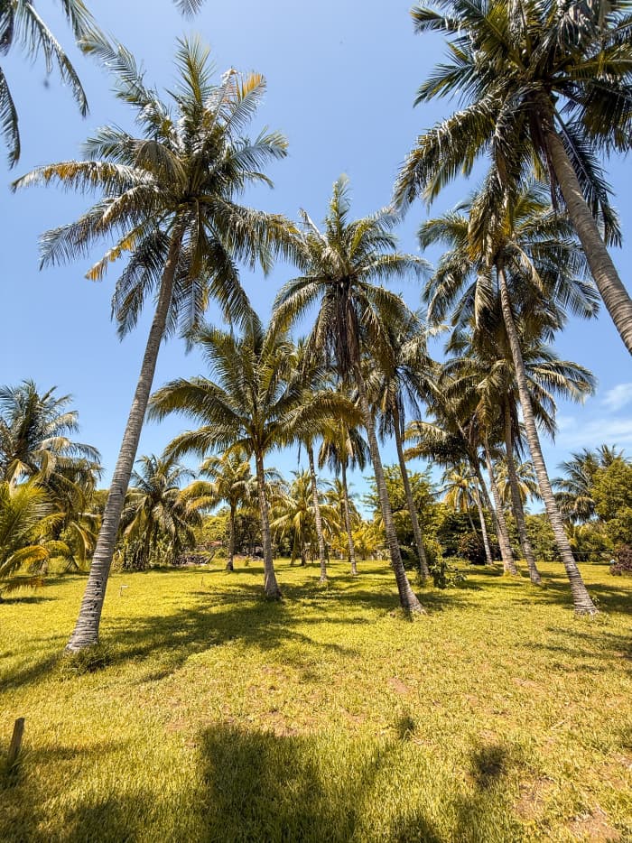 Terreno en venta playa San Diego La Libertad - foto 6
