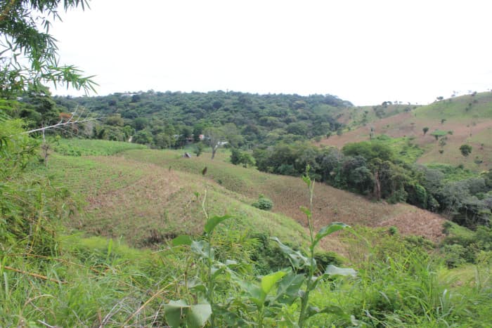 Terreno en venta cerca de Tuscania - foto 2