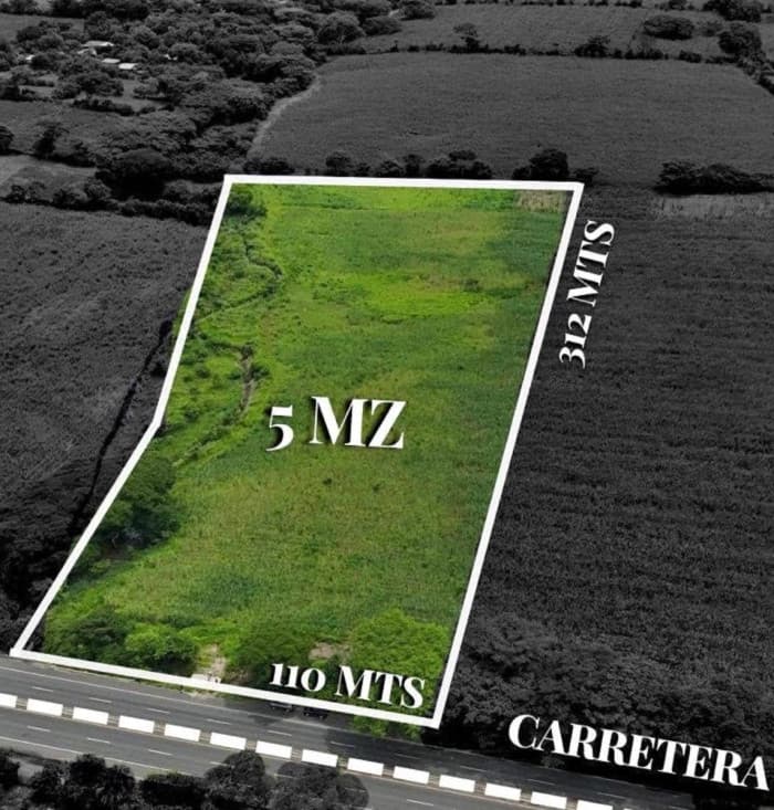 Terreno de 5 Mz sobre carretera Litoral a Zacatecoluca - foto 8