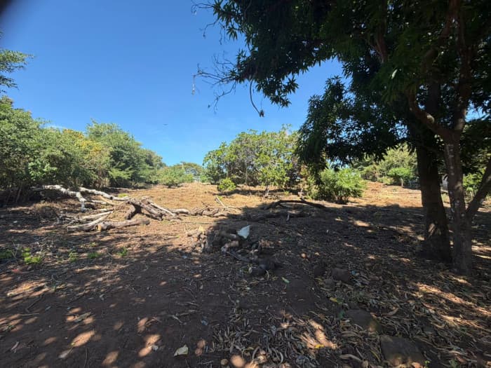 Terreno comercial en venta en Jicalapa La Libertad - foto 2