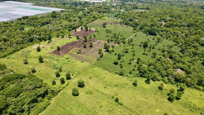 Lotes con financiamiento directo carretera Los Naranjos - foto 17