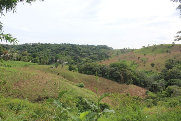 Se vende terreno de 30 manzanas cercano a Tuscania - foto 4