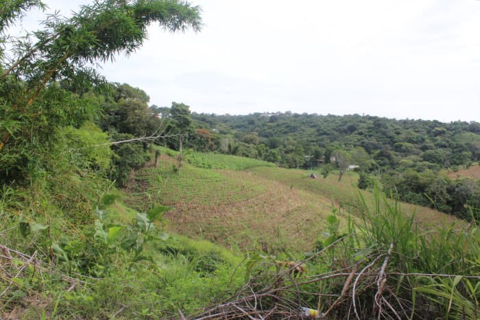 Terreno en venta cerca de Tuscania - foto 4