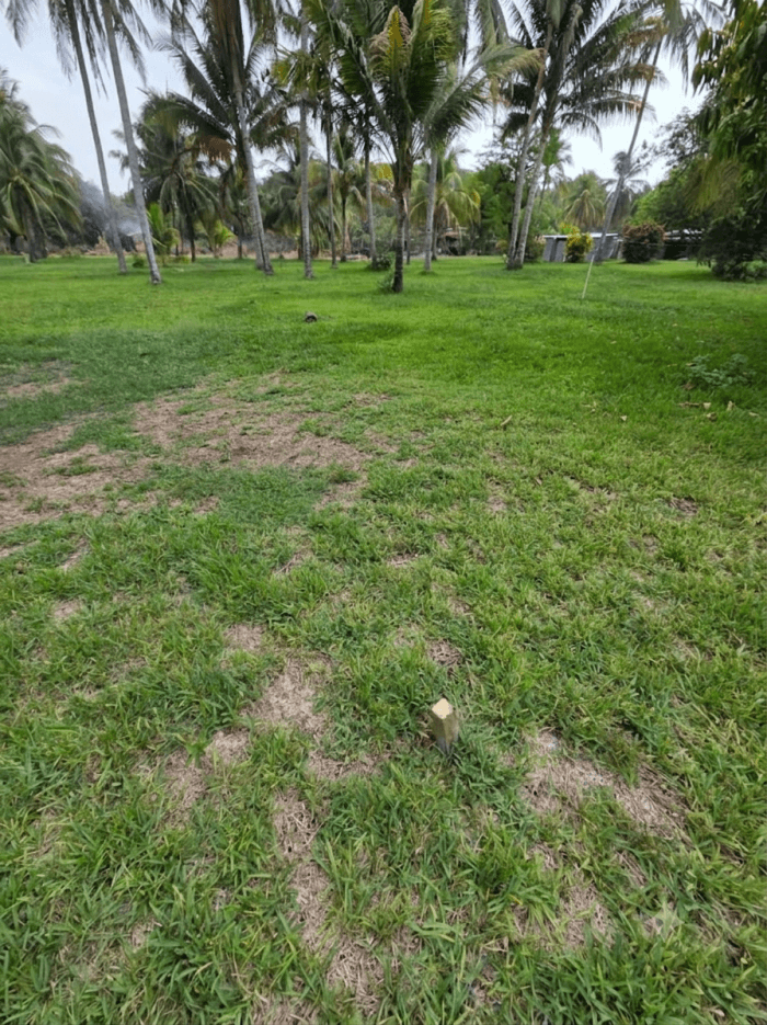 Terreno en venta playa San Diego La Libertad - foto 2