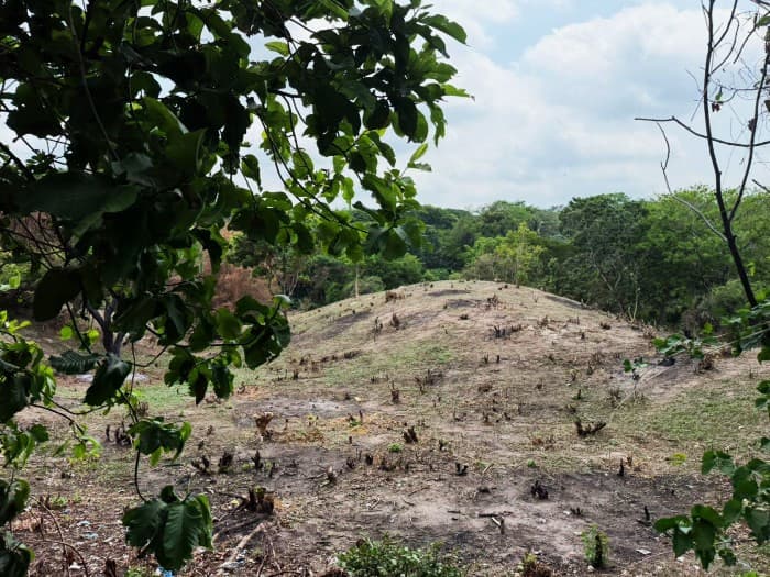 Terreno en venta ideal para desarrollo en Cuyultitán - foto 8
