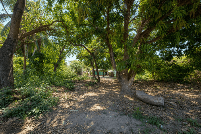 Ganga lotes en venta Cangrejera La Libertad - foto 2