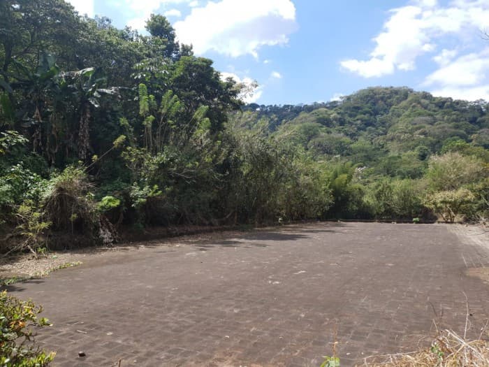 Finca cafetalera en venta sobre carretera Los Chorros - foto 4