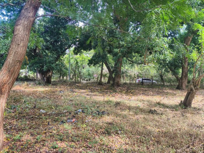 Terreno 7,696 varas cuadradas en San Diego La Libertad - foto 8