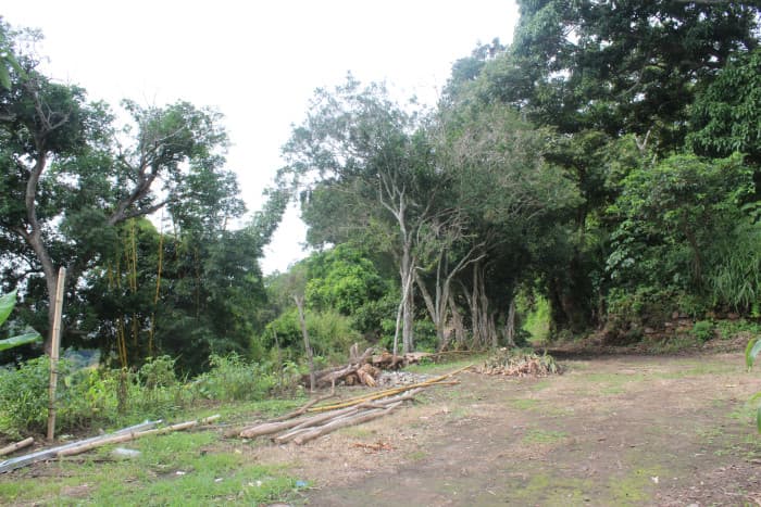 Terreno en venta cerca de Tuscania - foto 12
