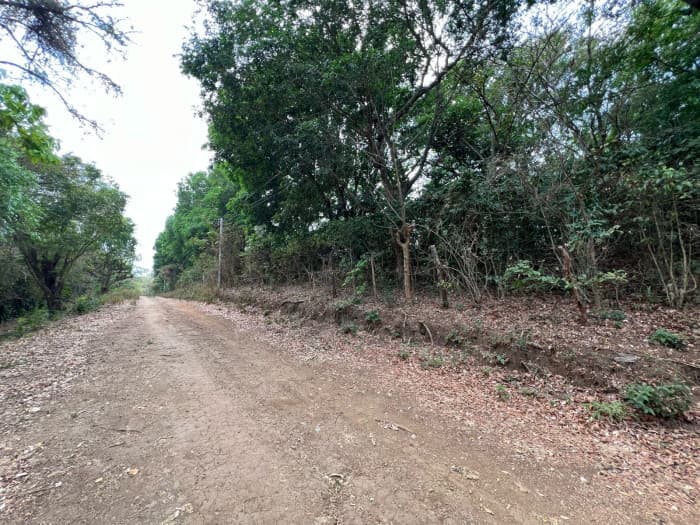Terreno de 40 manzanas para desarrollo por El Encanto - foto 5