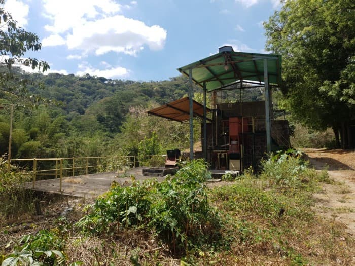 Finca cafetalera en venta sobre carretera Los Chorros - foto 6