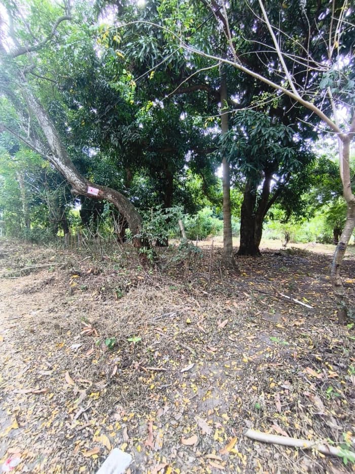 Terreno 7,696 varas cuadradas en San Diego La Libertad - foto 7