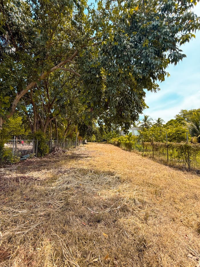 Lote en Residencial Villas de Salinitas III Sonsonate - foto 11