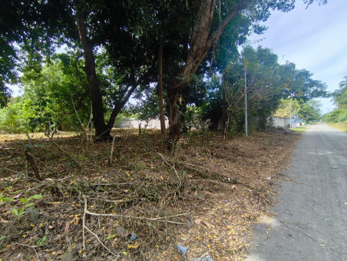 Terreno 7,696 varas cuadradas en San Diego La Libertad - foto 2