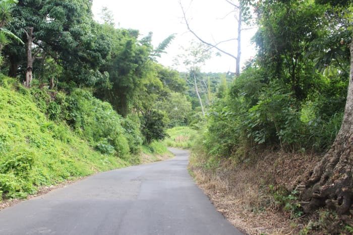 Terreno en venta cerca de Tuscania - foto 19