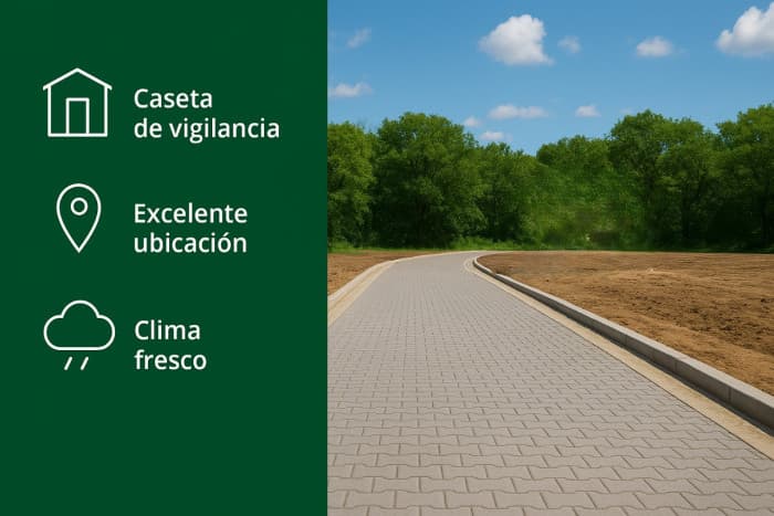 Lotes con financiamiento directo carretera Los Naranjos - foto 12