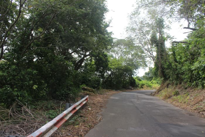 Se vende terreno de 30 manzanas cercano a Tuscania - foto 2