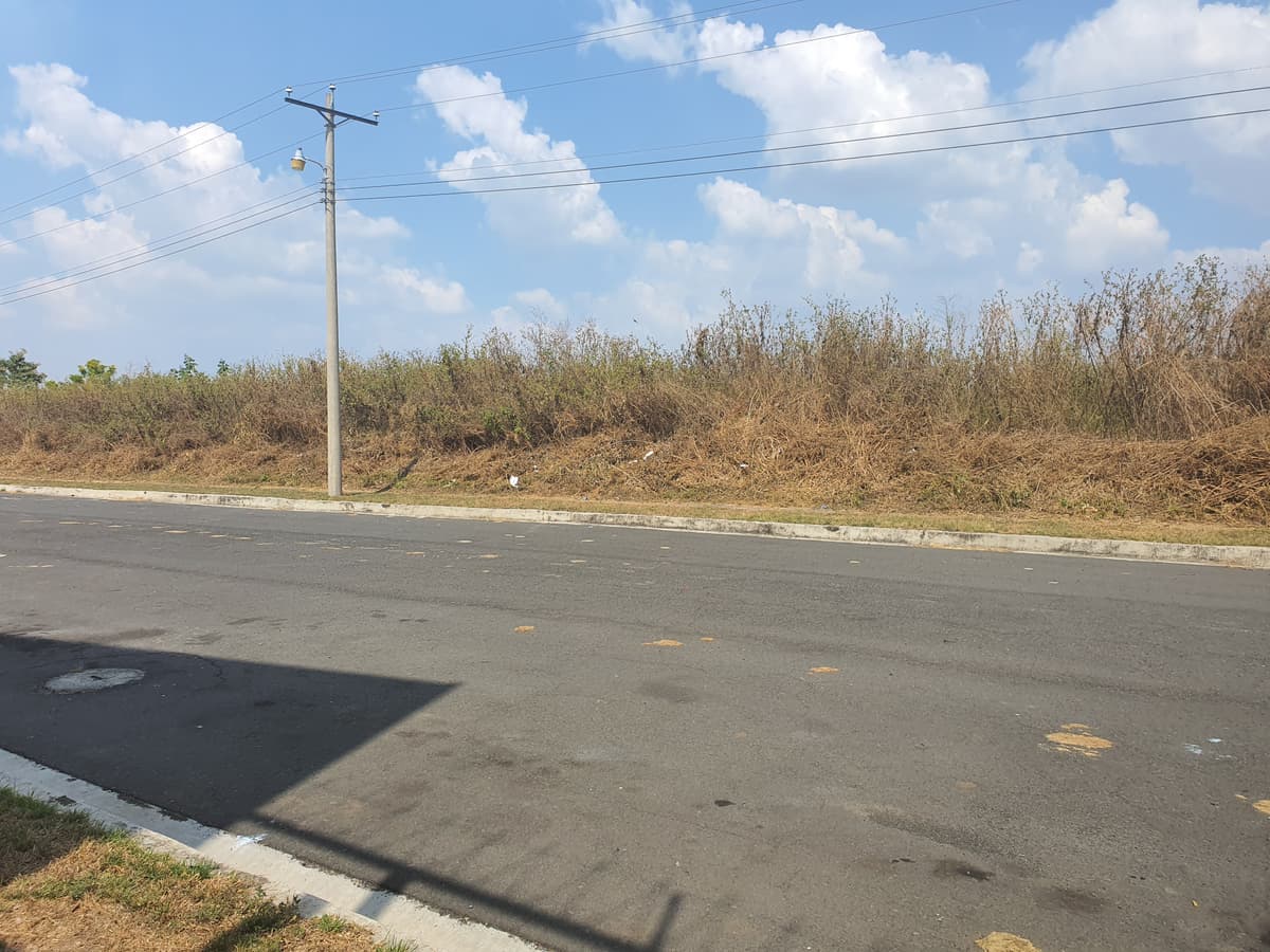 Venta de terreno industrial en Lourdes Colón - foto 4