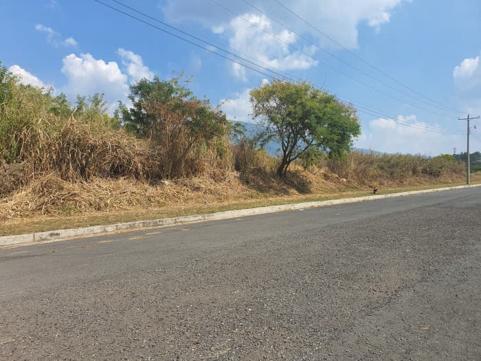 Venta de terreno industrial en Lourdes Colón - foto 8
