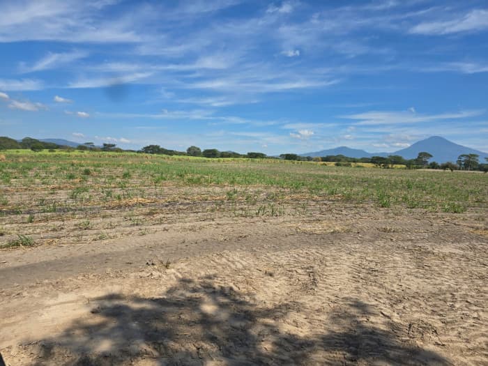 Terreno de 5 Mz sobre carretera Litoral a Zacatecoluca - foto 10