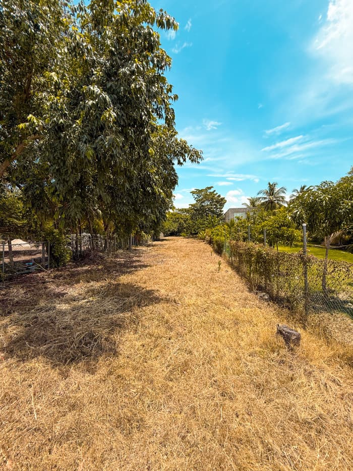Lote en Residencial Villas de Salinitas III Sonsonate - foto 10